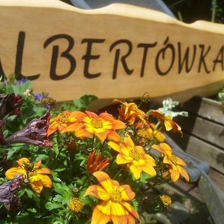Albertowka Trzciel エクステリア 写真