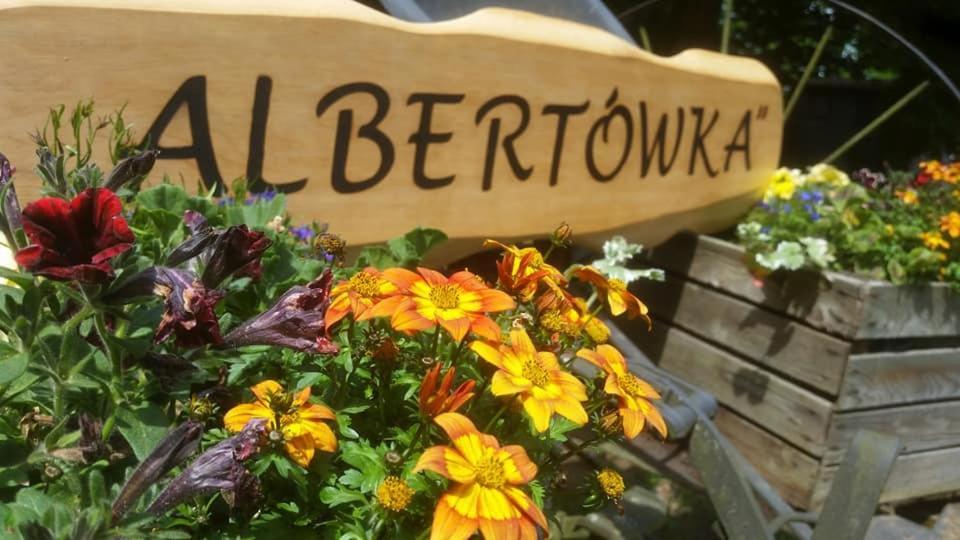 Albertowka Trzciel エクステリア 写真
